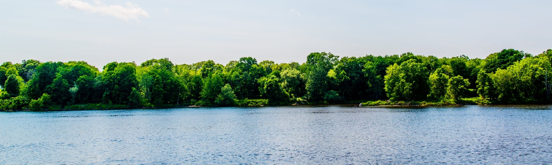 Rivière et forêt