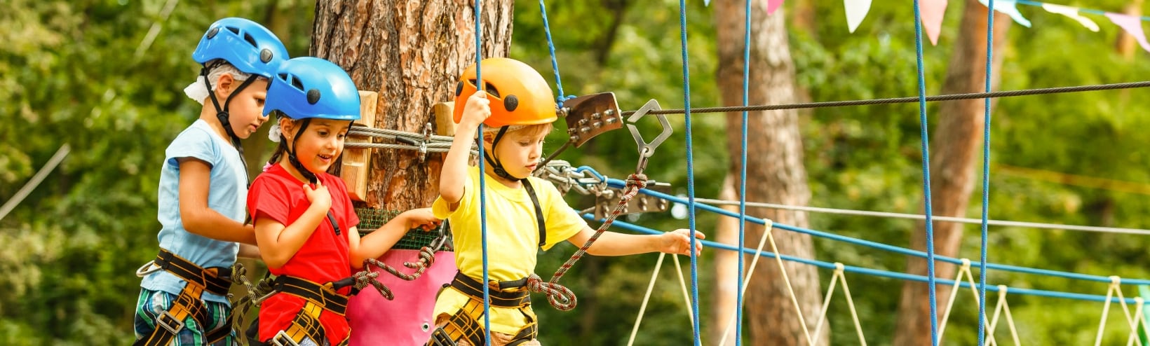 enfants dans un parcours de tyroliennes